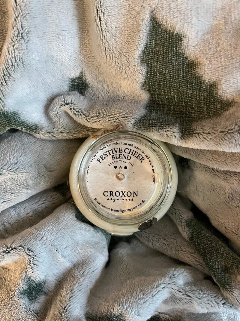Festive Cheer Blend Jar Candle